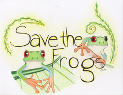 A picture of two green tree frogs on branches with the statement 